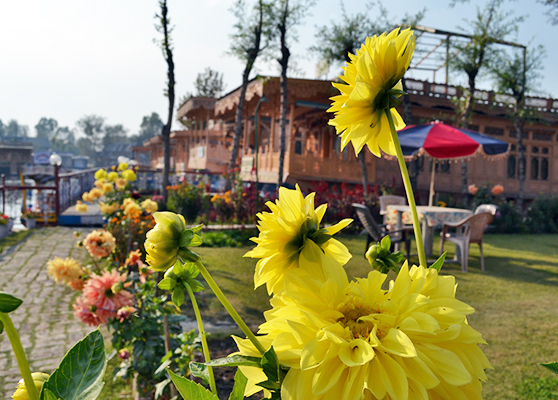 Bostan Gulistan Houseboat